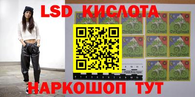 бошки Будённовск