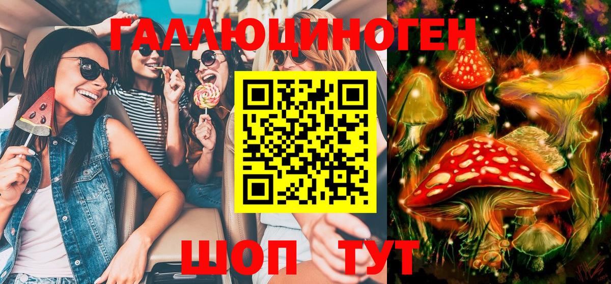 Псилоцибиновые грибы GOLDEN TEACHER Маркс