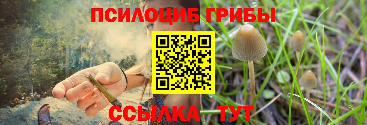 закладки  Вход с VPN  Маркс  Псилоцибиновые грибы ЛСД 